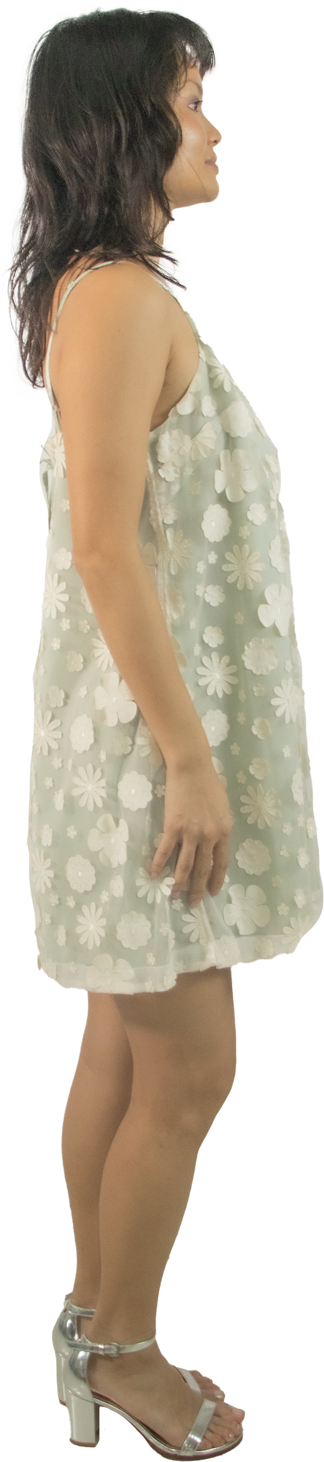 Kimchi Blue Flower Trapeze Dress