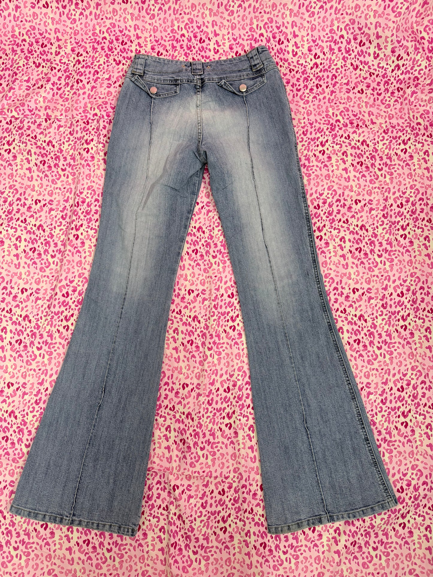 Zinnia Low Rise Cargo Jeans