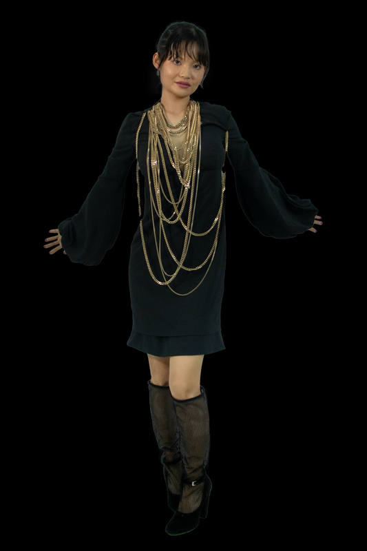 Givenchy Fall 2008 Madonna Dress