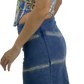 Sasha Low Rise Denim Skirt