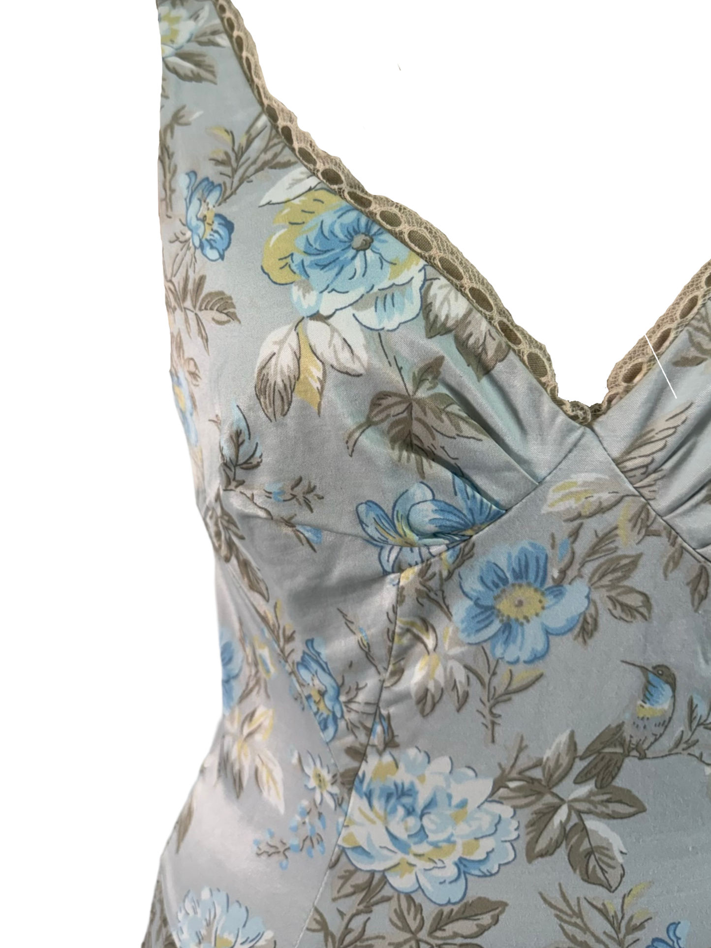 Dolce & Gabbana Hummingbird Floral Dress