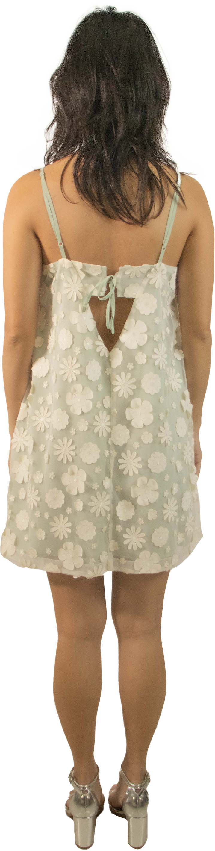 Kimchi Blue Flower Trapeze Dress