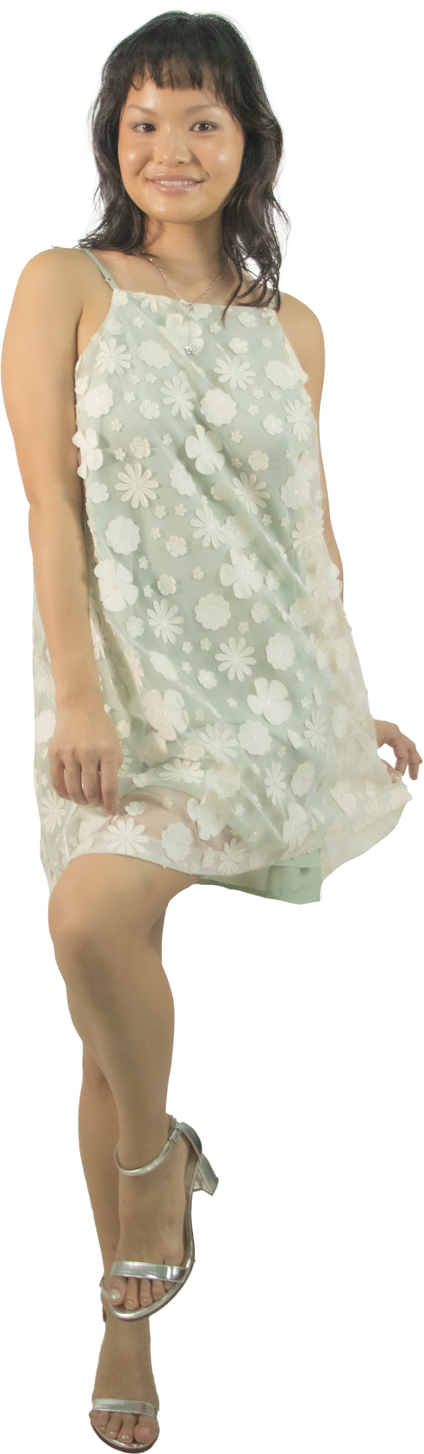 Kimchi Blue Flower Trapeze Dress