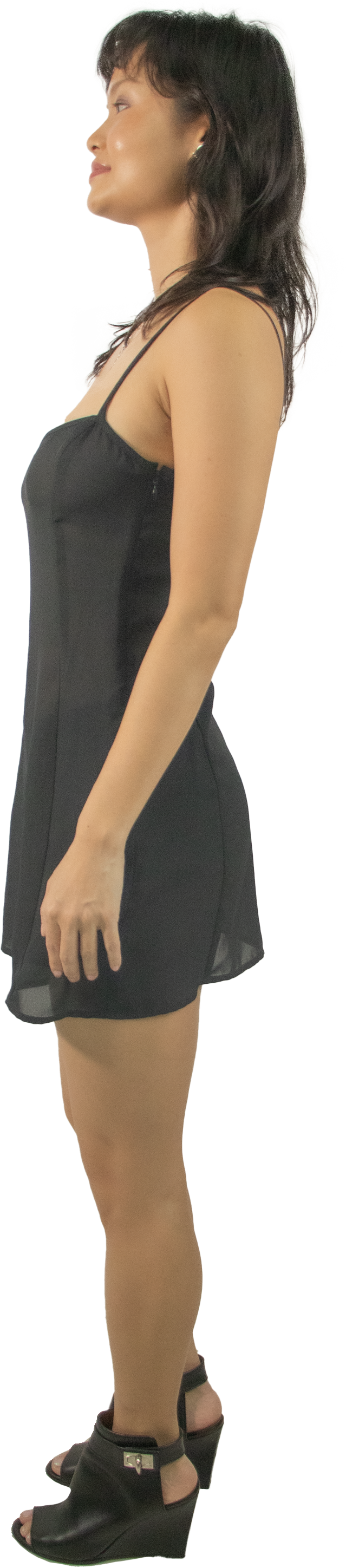 Veronika Maine Sheer Slip Dress