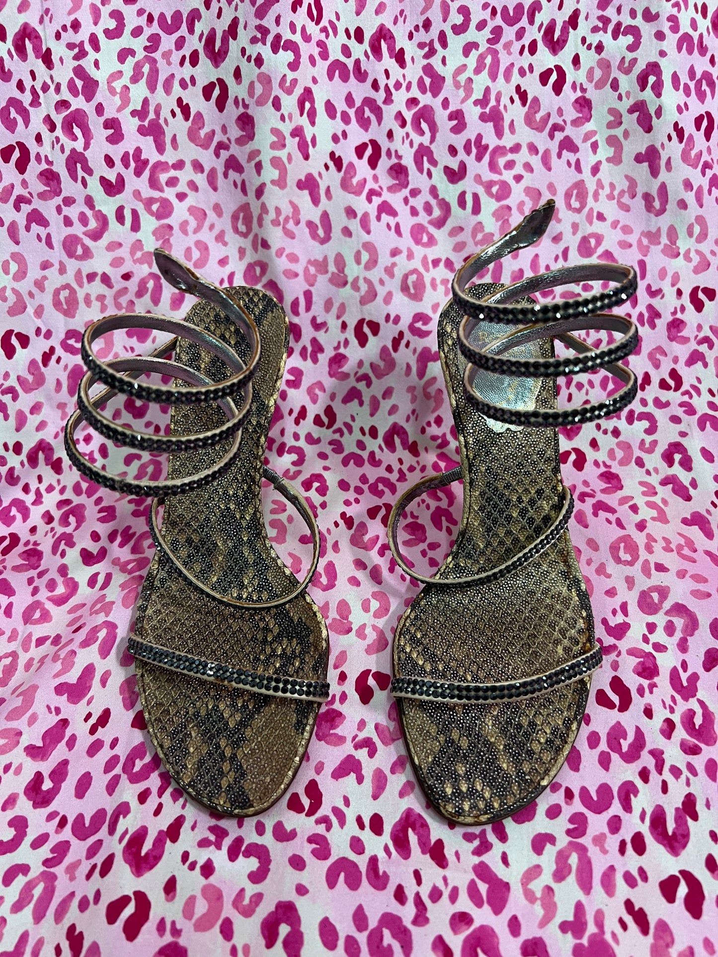 Rene Caovilla Snake Heels
