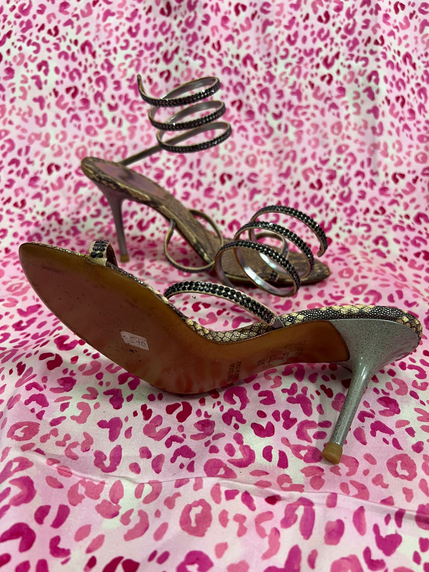 Rene Caovilla Snake Heels
