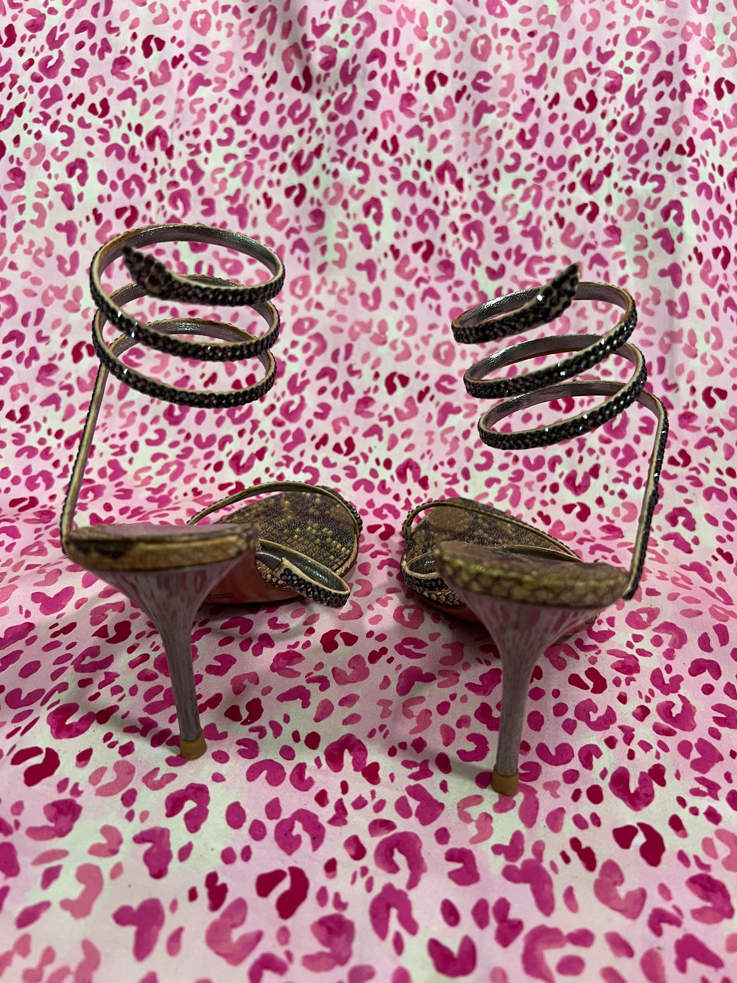 Rene Caovilla Snake Heels