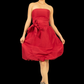 BCBG Max Azria Bubble Dress