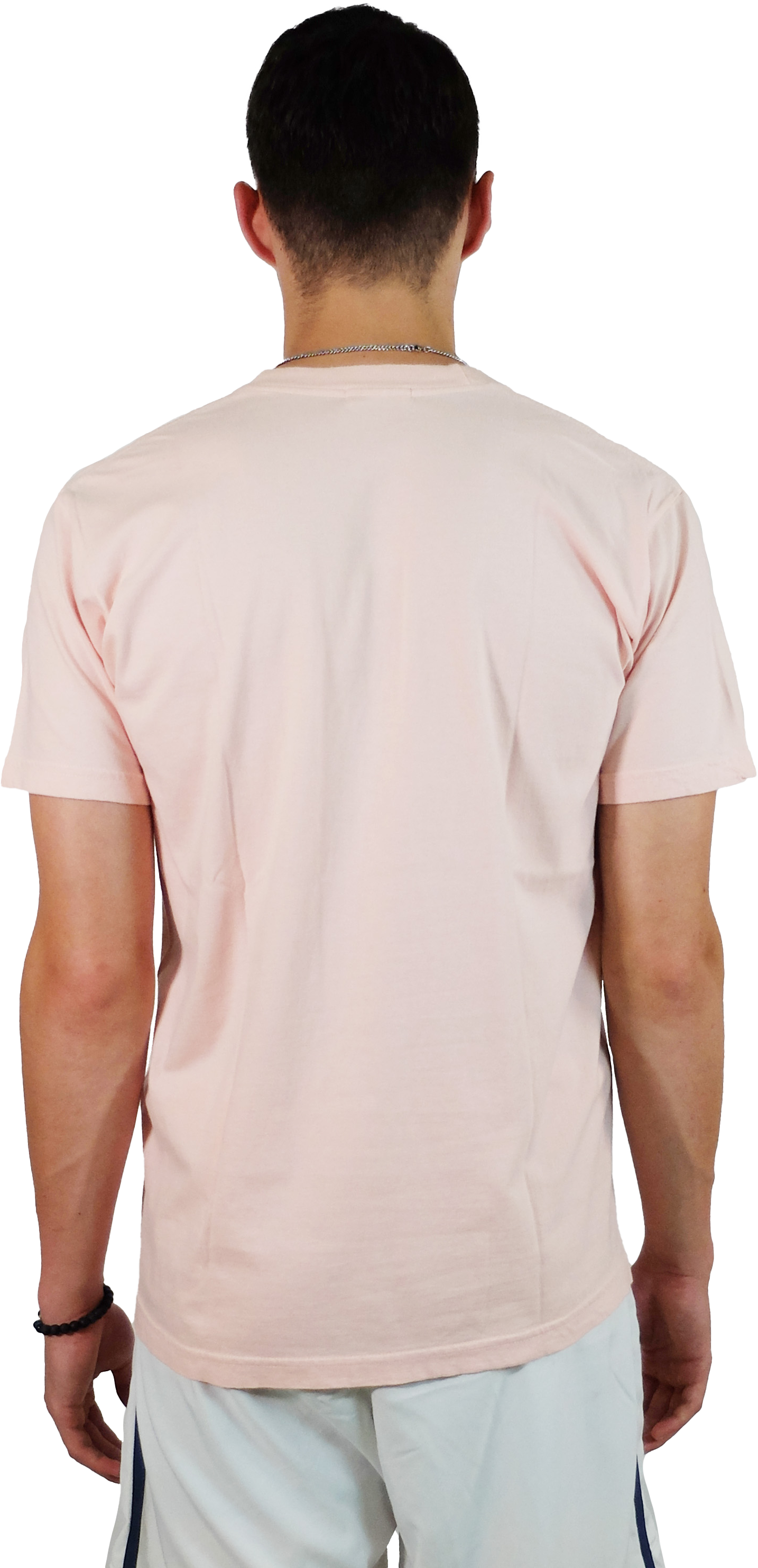 Gravity LA Fox Graphic Tee